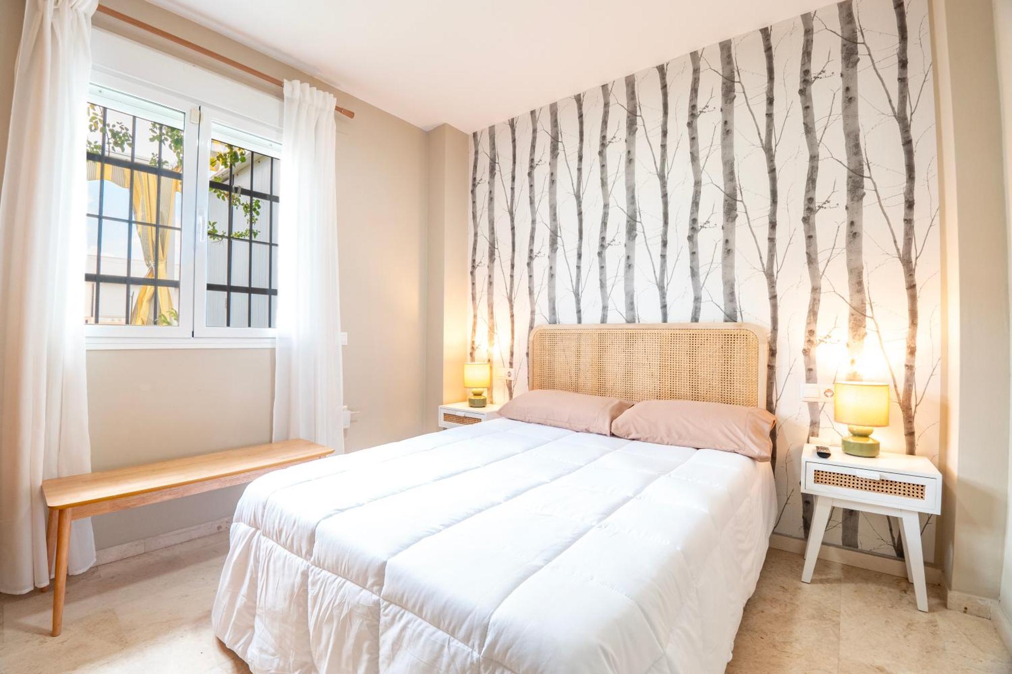 Apartamento Atico Con Terraza Junto A La Catedral